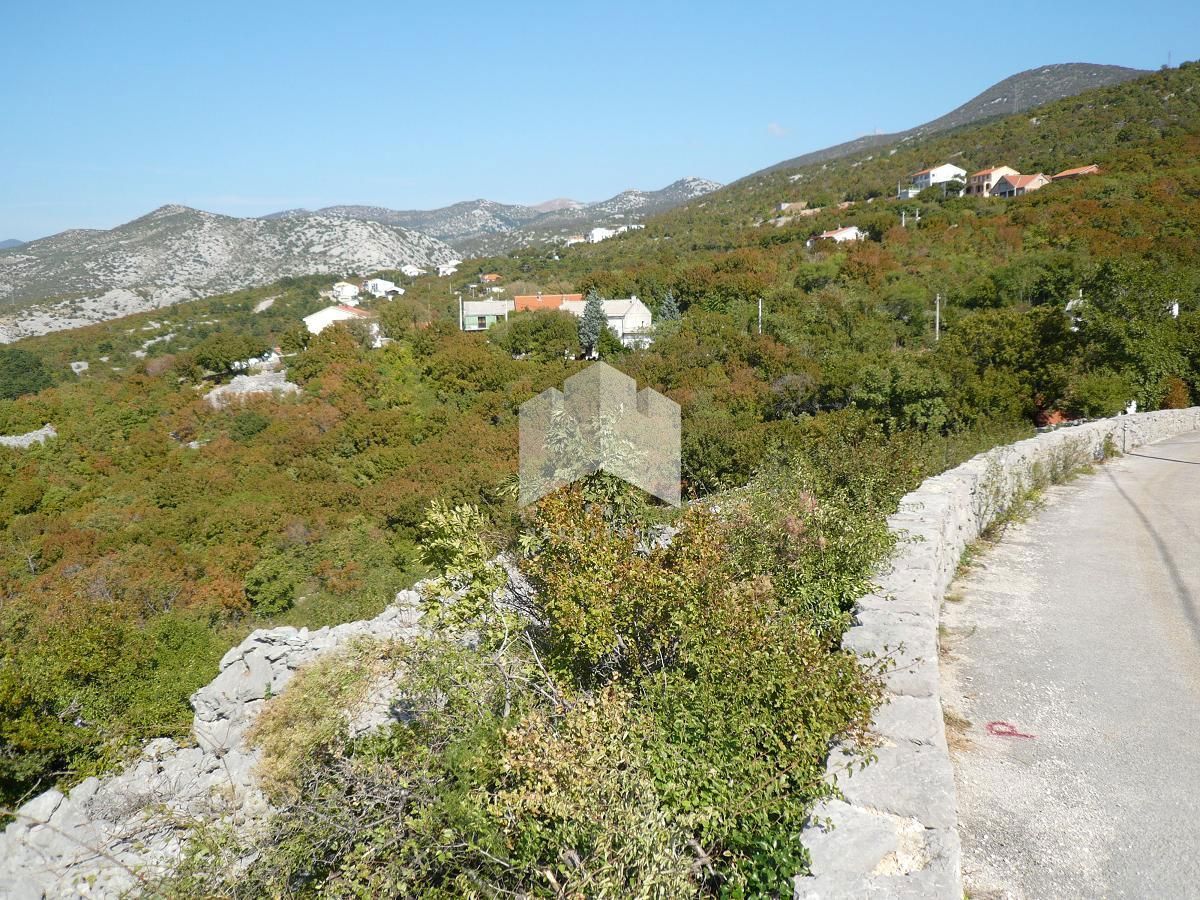 KLENOVICA