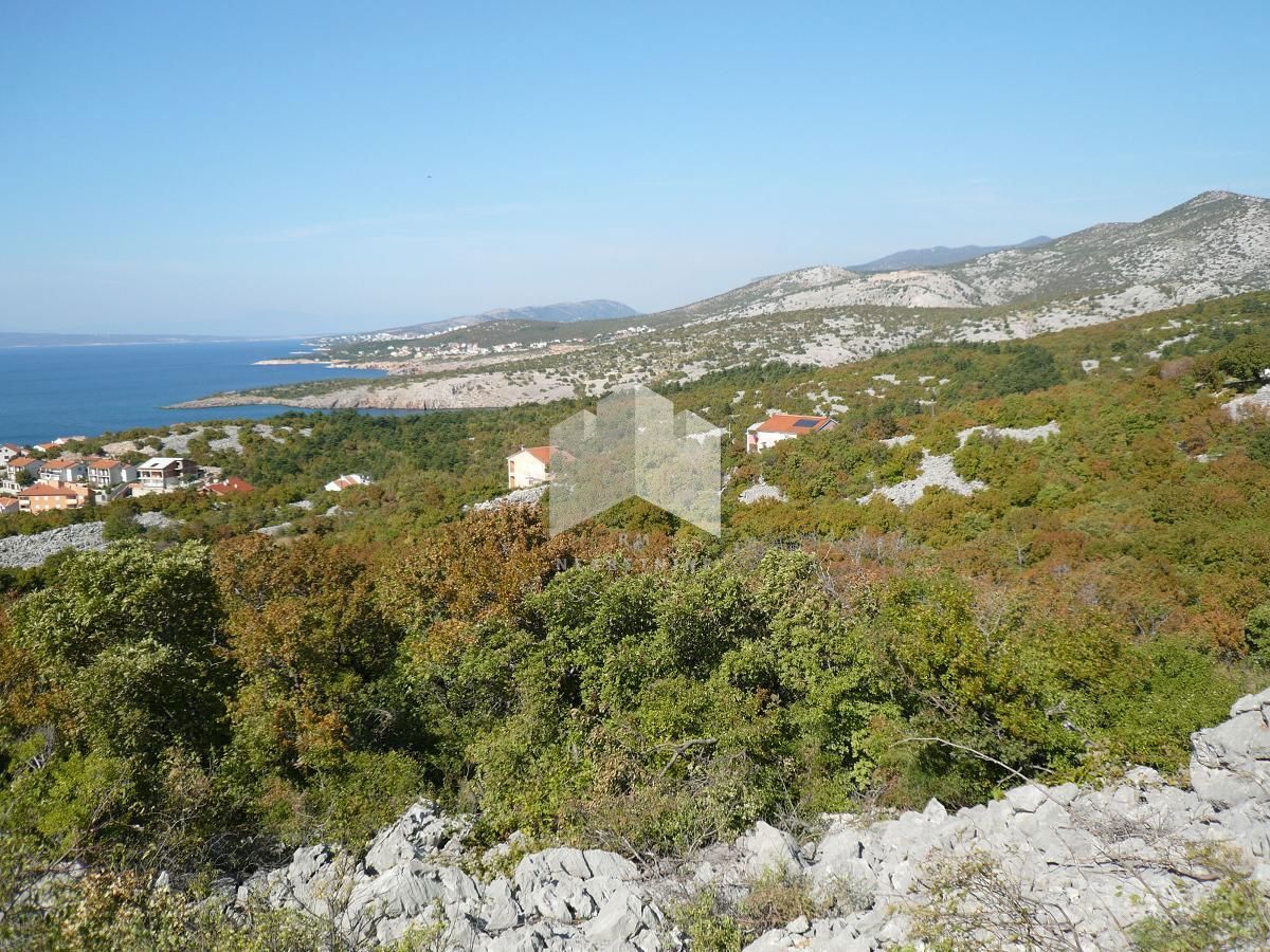 KLENOVICA