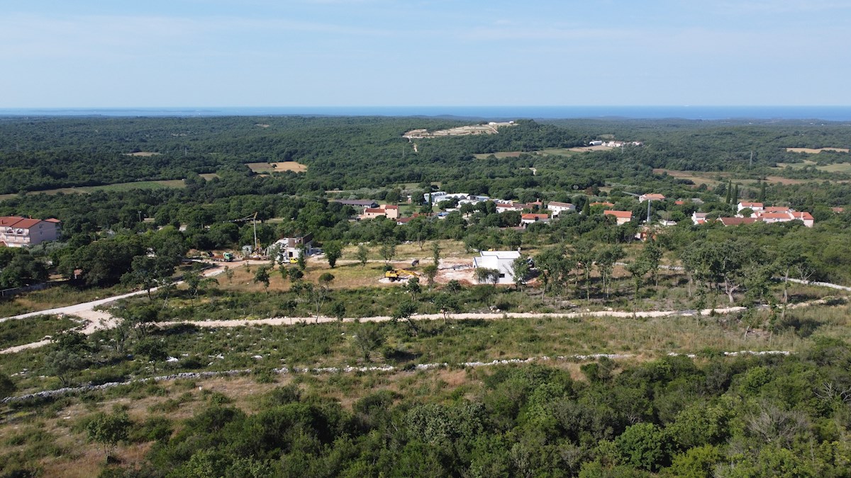 GOLAŠ