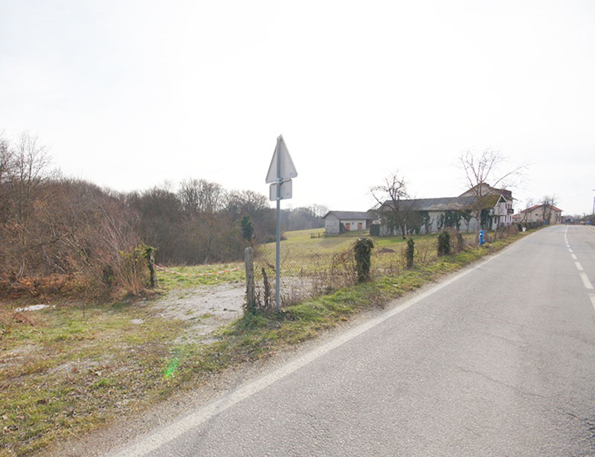 DREŽNIK PODOKIĆKI