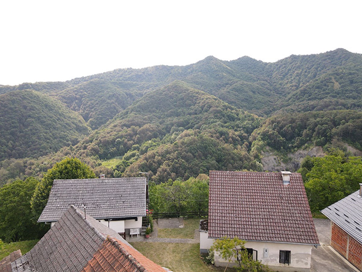 VELIKI LIPOVEC