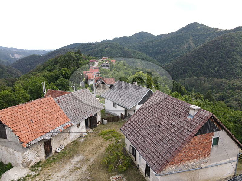 image 14