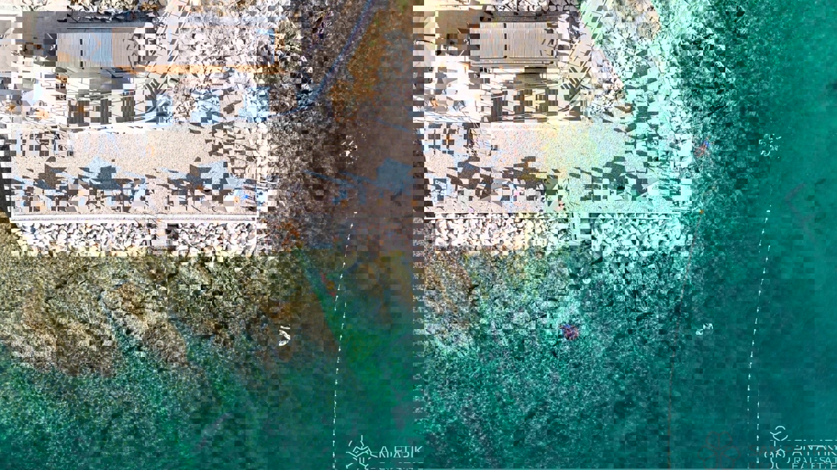 SAVUDRIJA