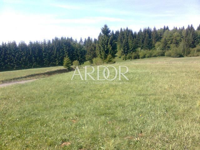 SKRAD