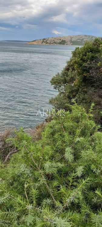 USTRINE