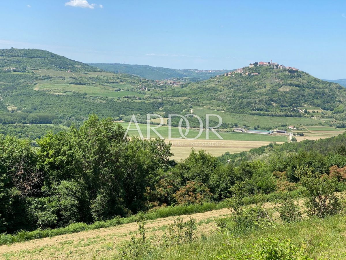 MOTOVUN