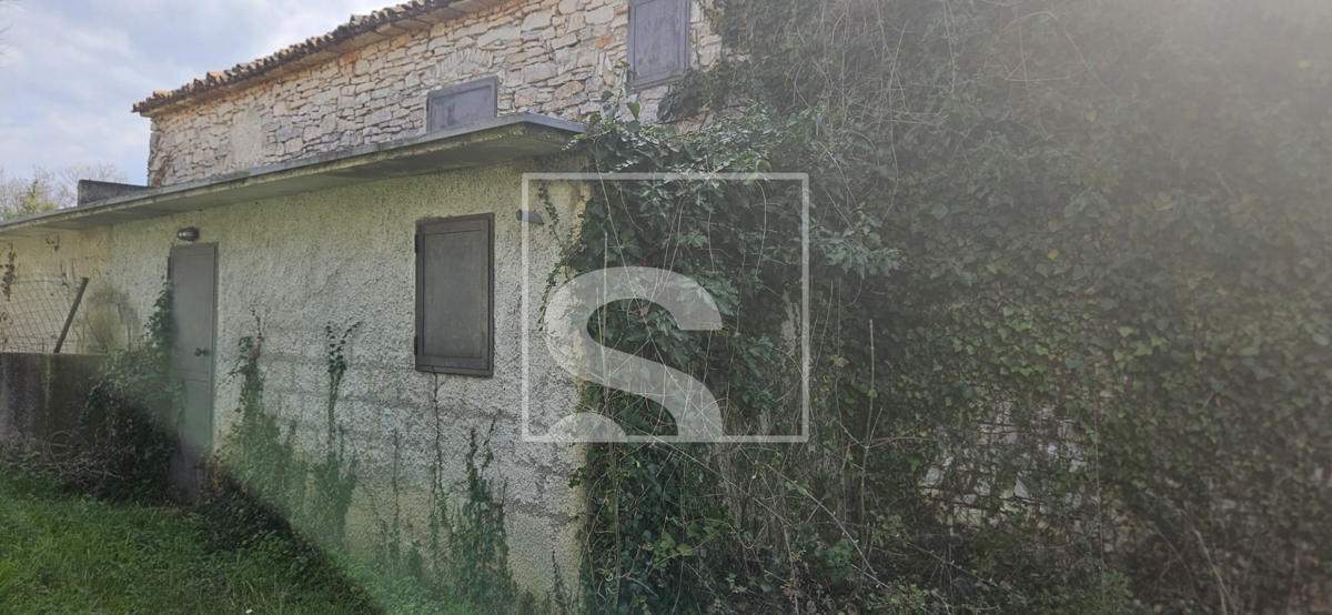 image 14