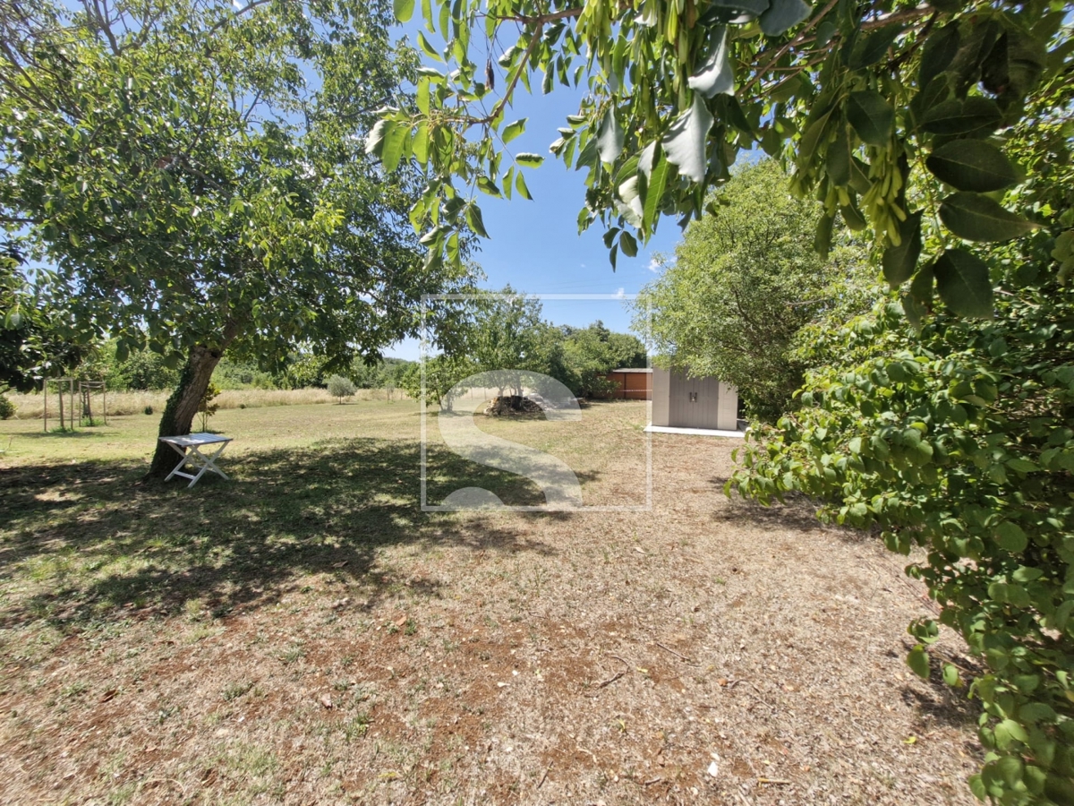 image 30