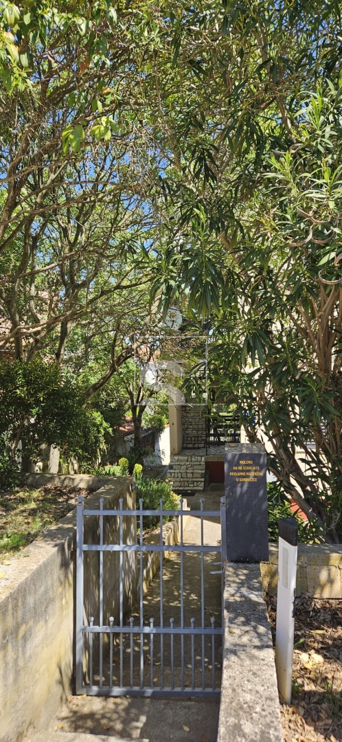 image 25