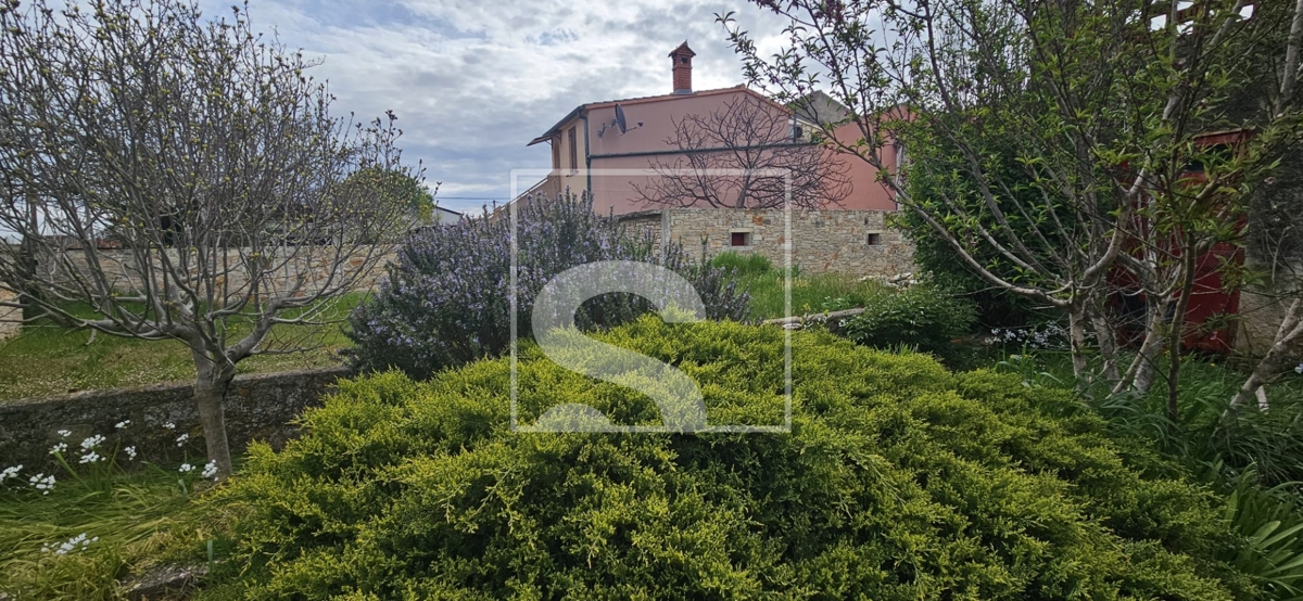 image 27
