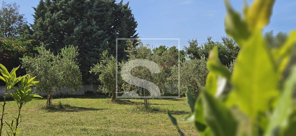 image 34