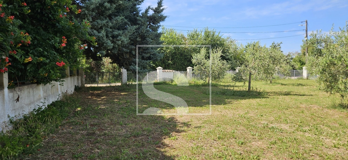 image 38