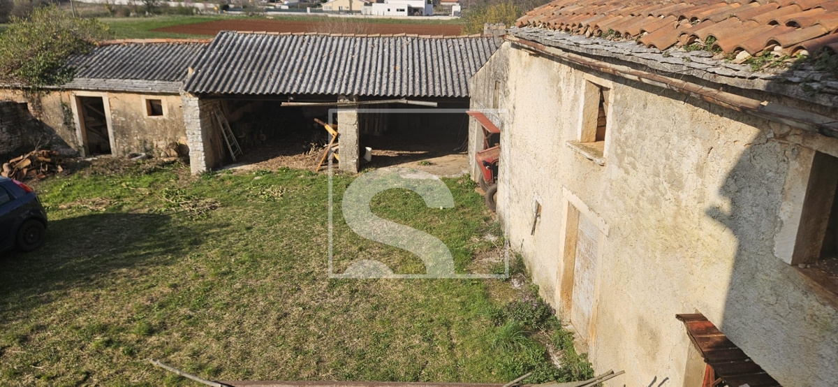 image 28