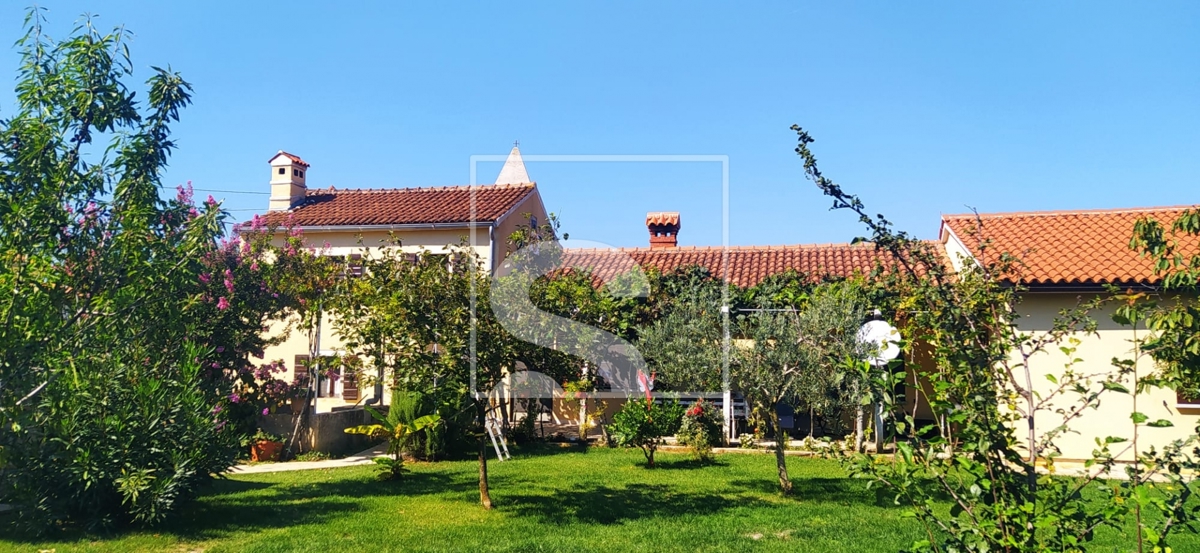 image 25
