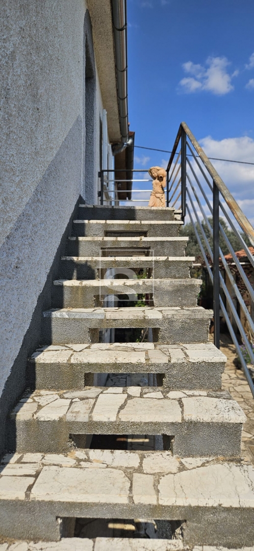 image 27