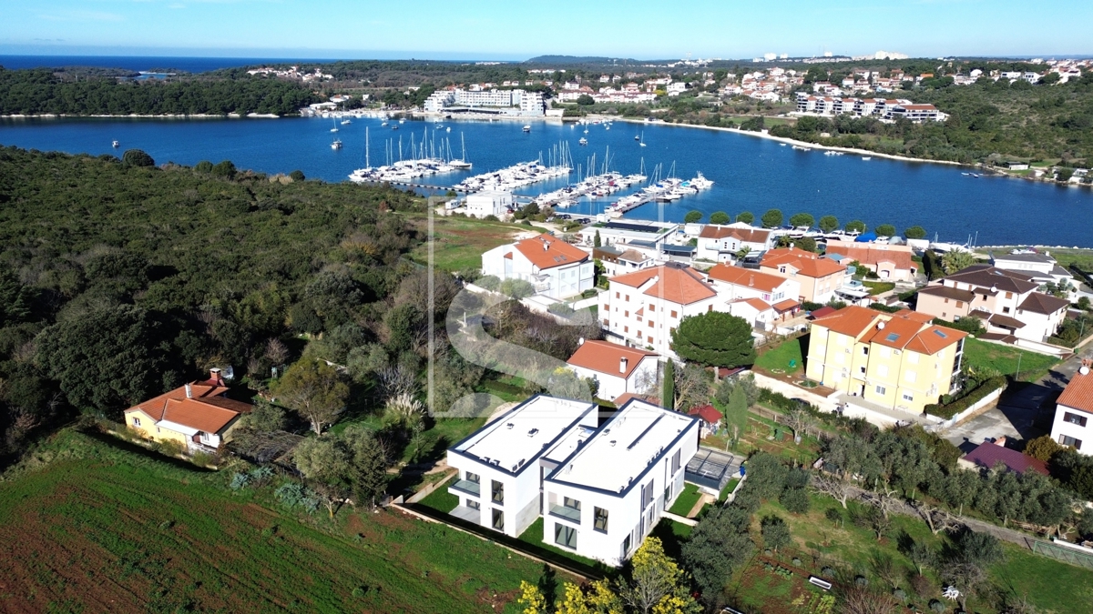 image 24