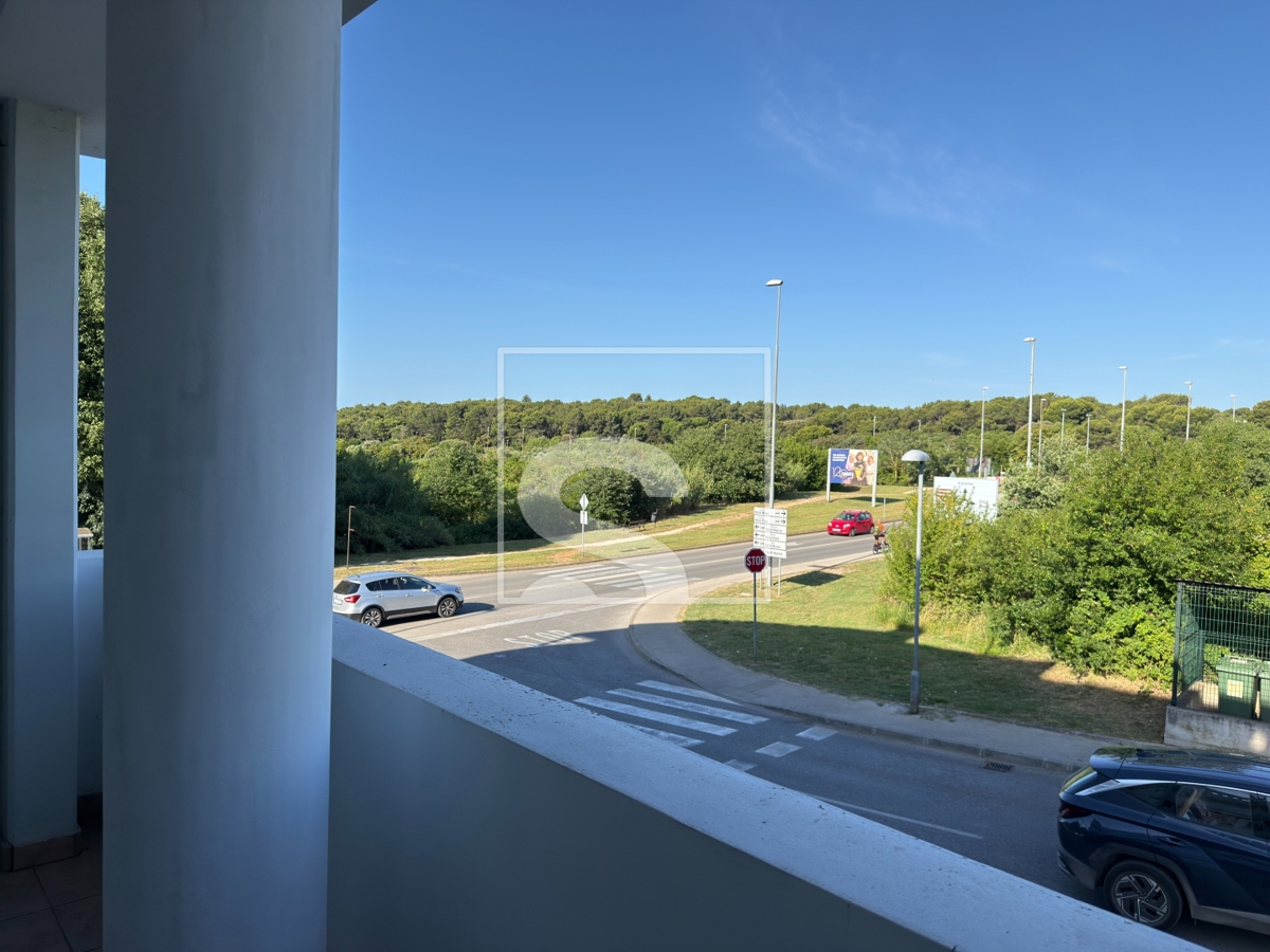 image 33