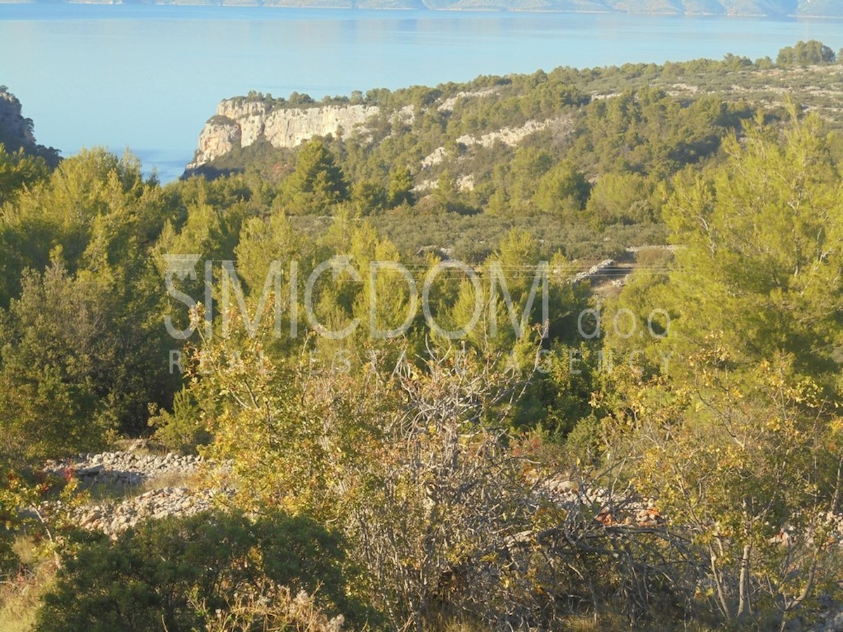 ZASTRAŽIŠĆE
