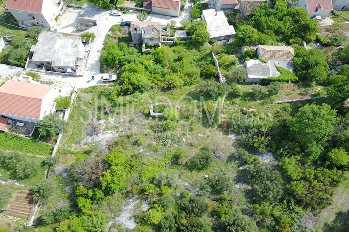 MOKOŠICA