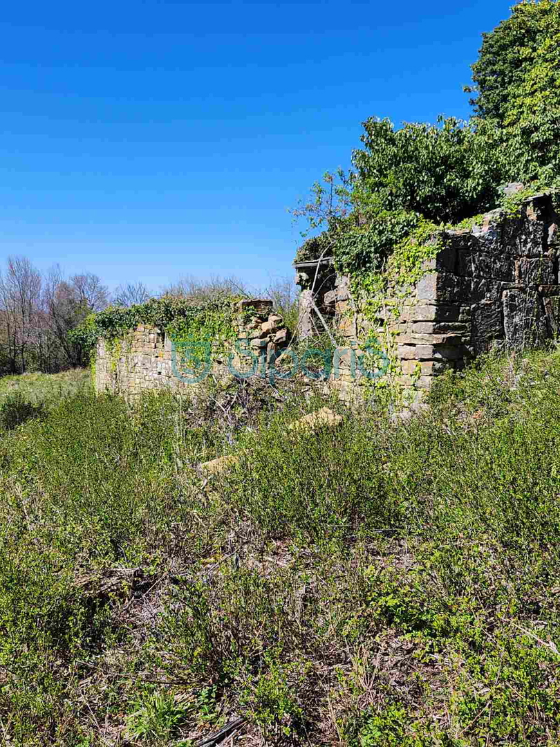 KUBERTON