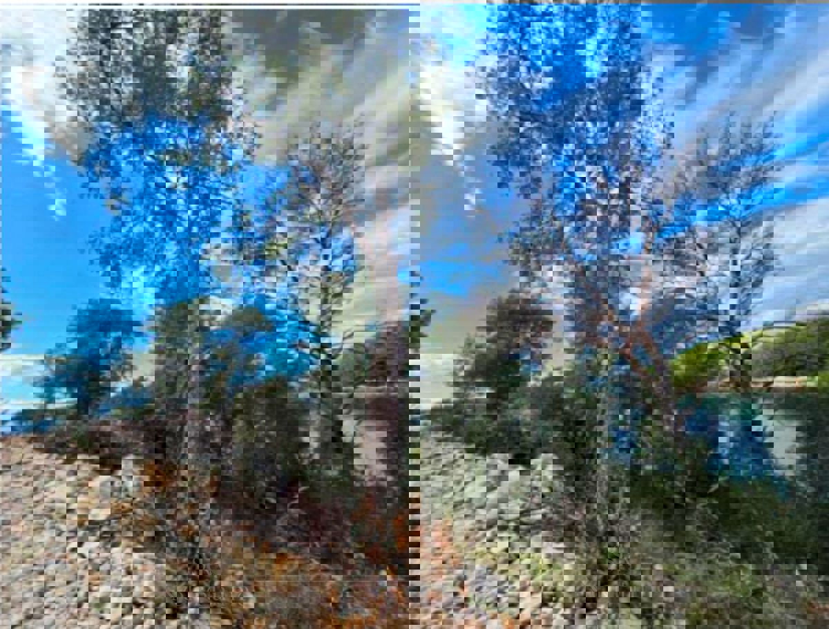 Участок BRAČ, 10 €