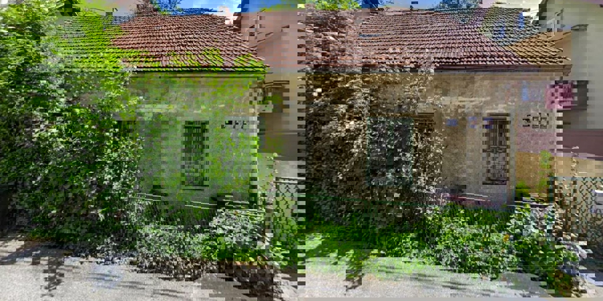 JELENOVAC