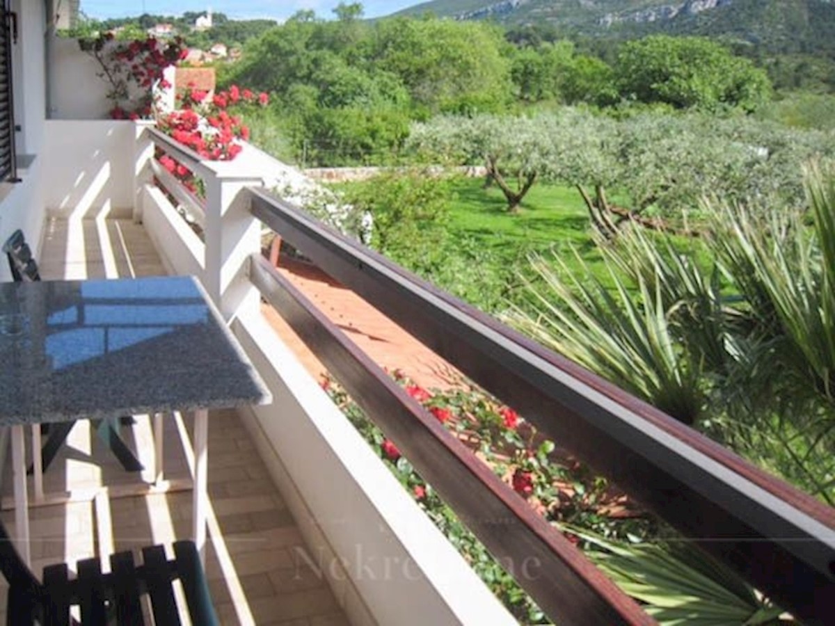 Gallery Flat sale JELSA (HVAR), SPLITSKODALMATINSKA REC ID 1006805 Sky nekretnine