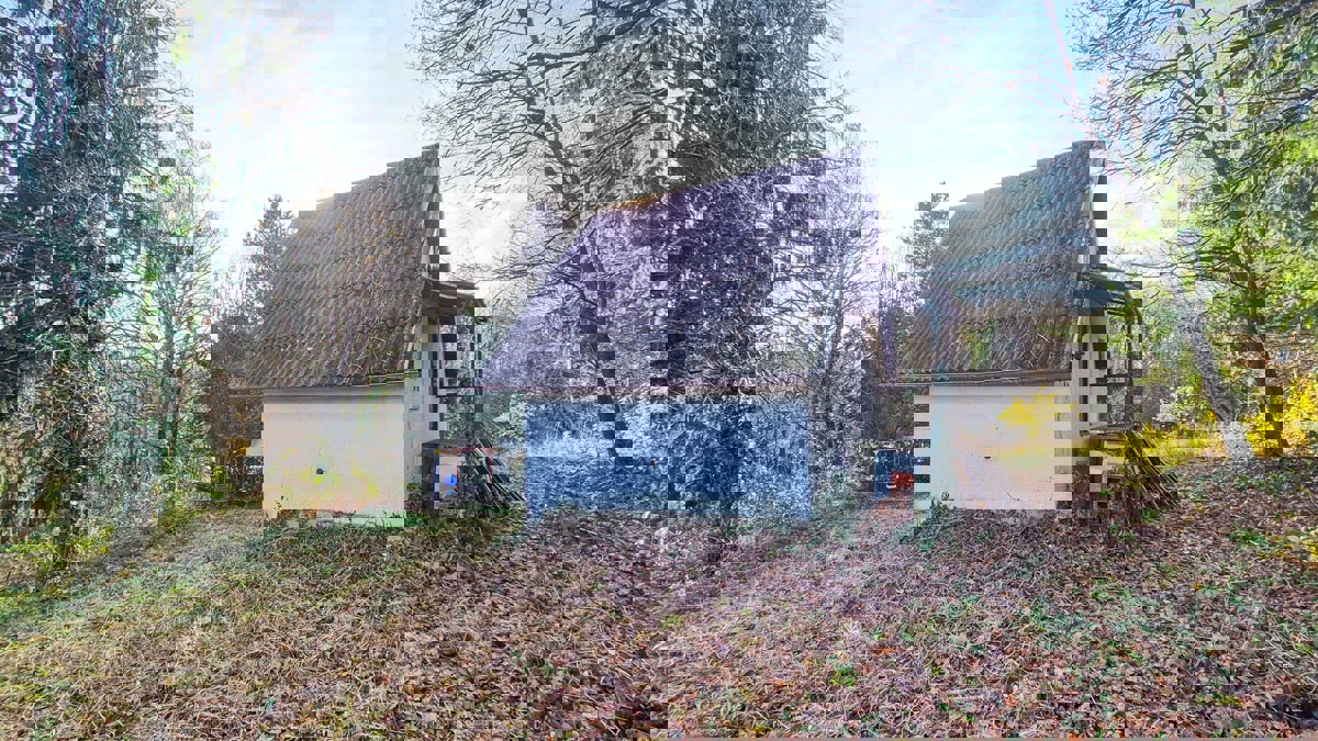 KUPINEČKI KRALJEVEC