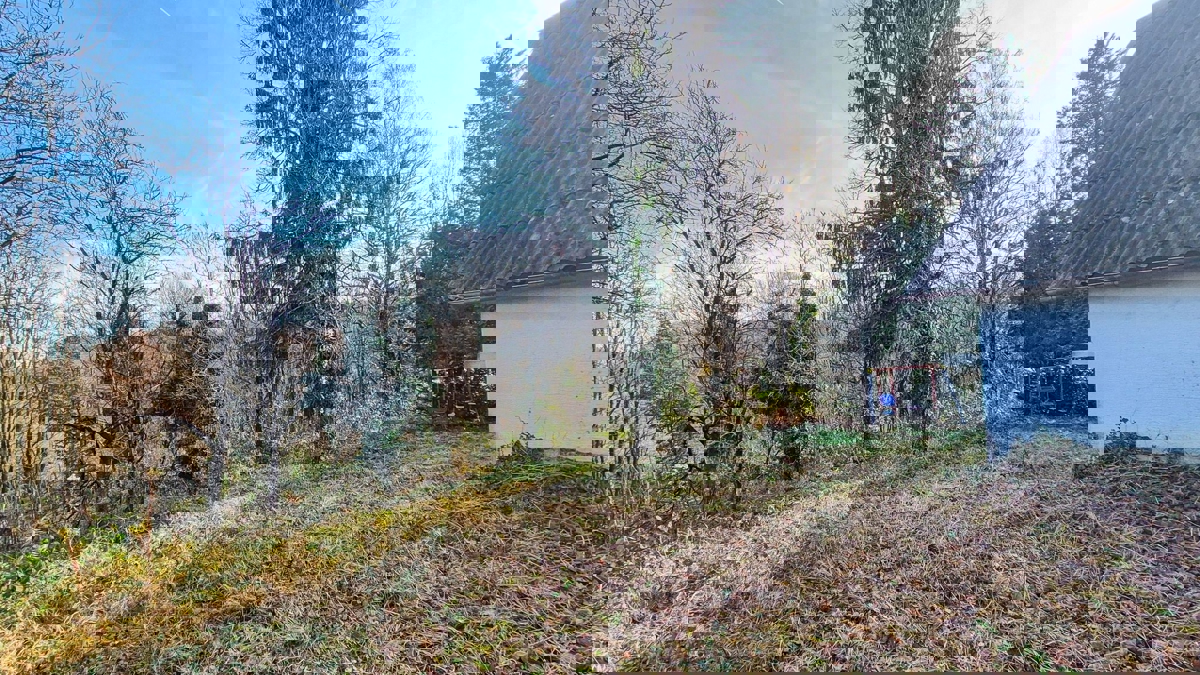 KUPINEČKI KRALJEVEC