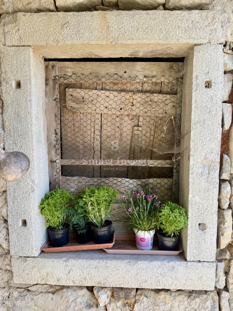 image 18