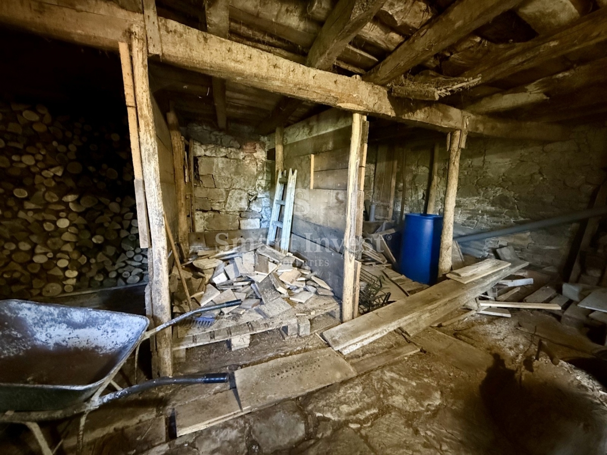 image 14