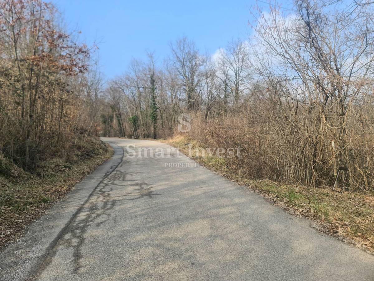 JUŠIĆI