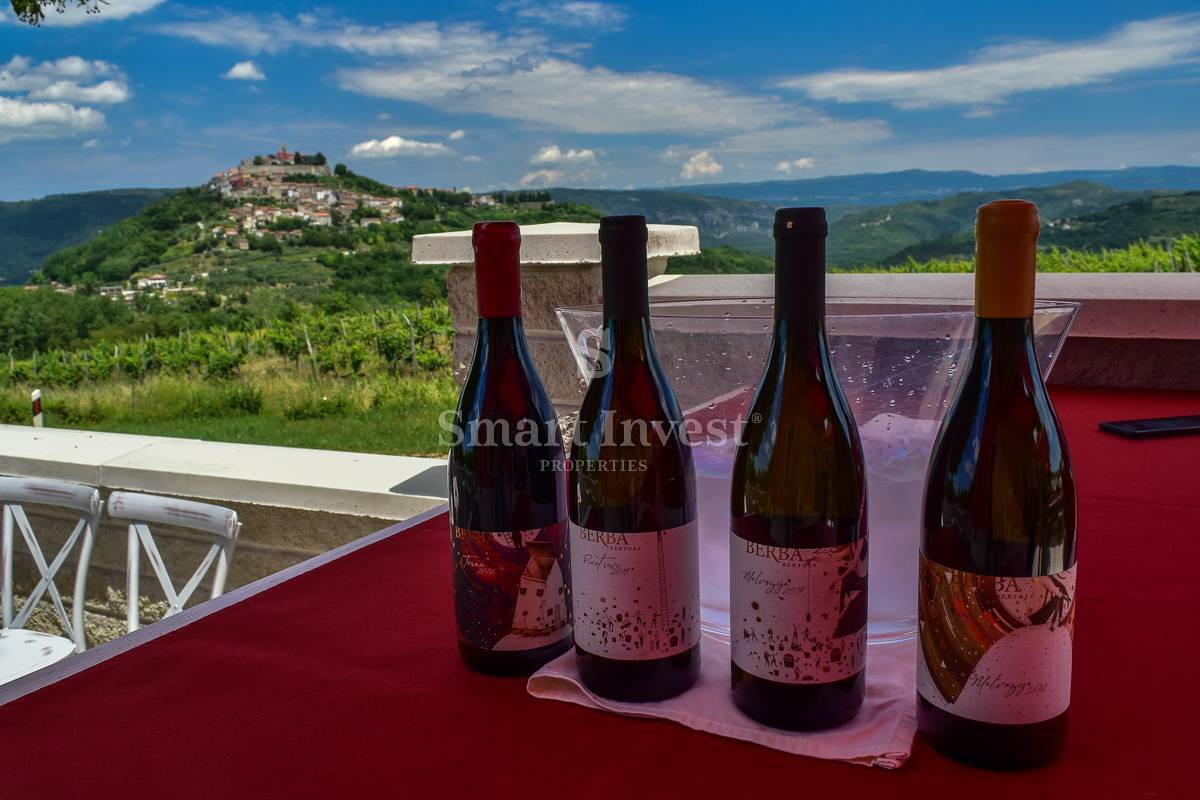 MOTOVUN