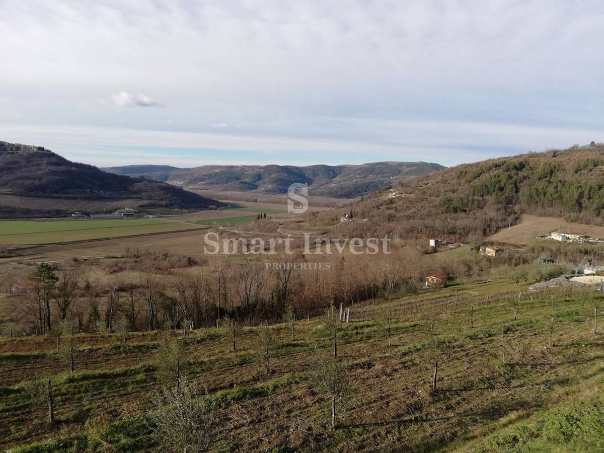 MOTOVUN