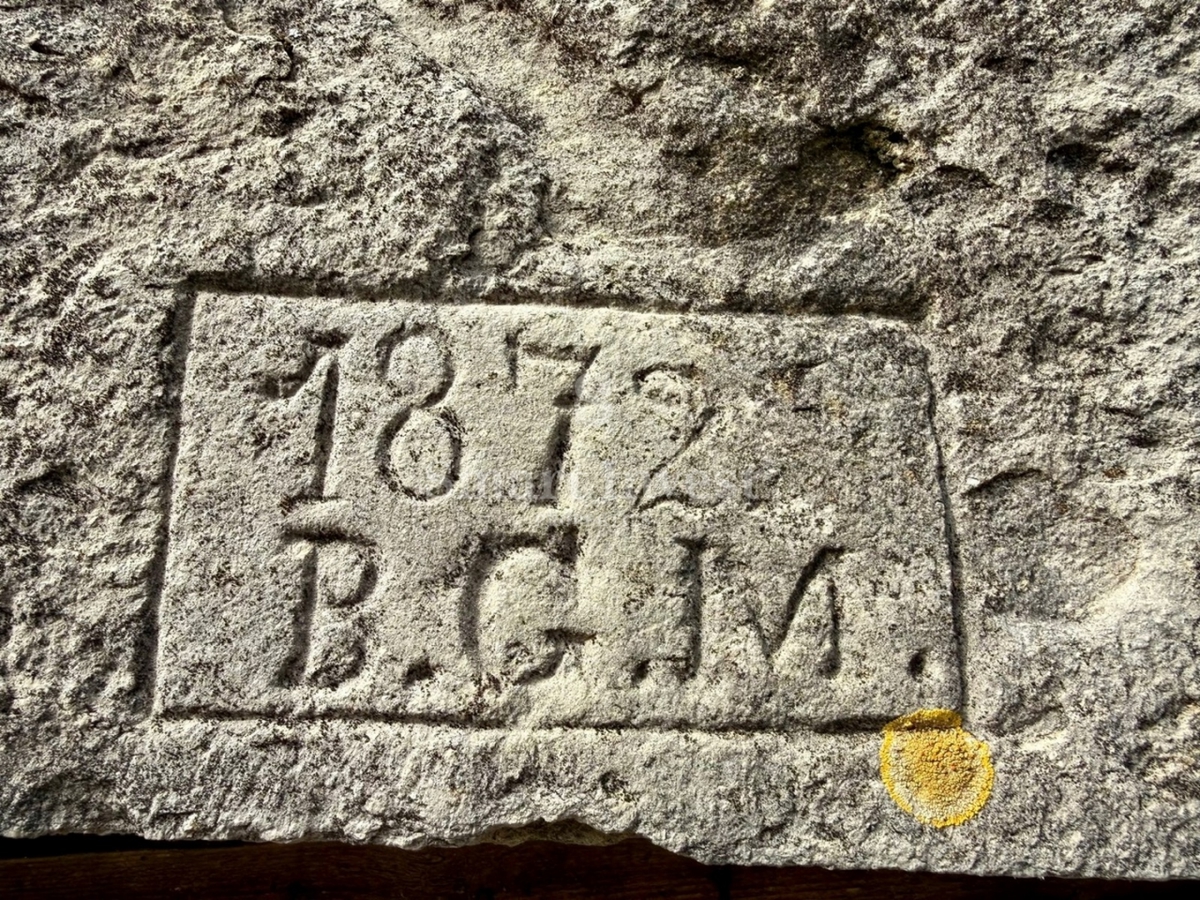 image 51