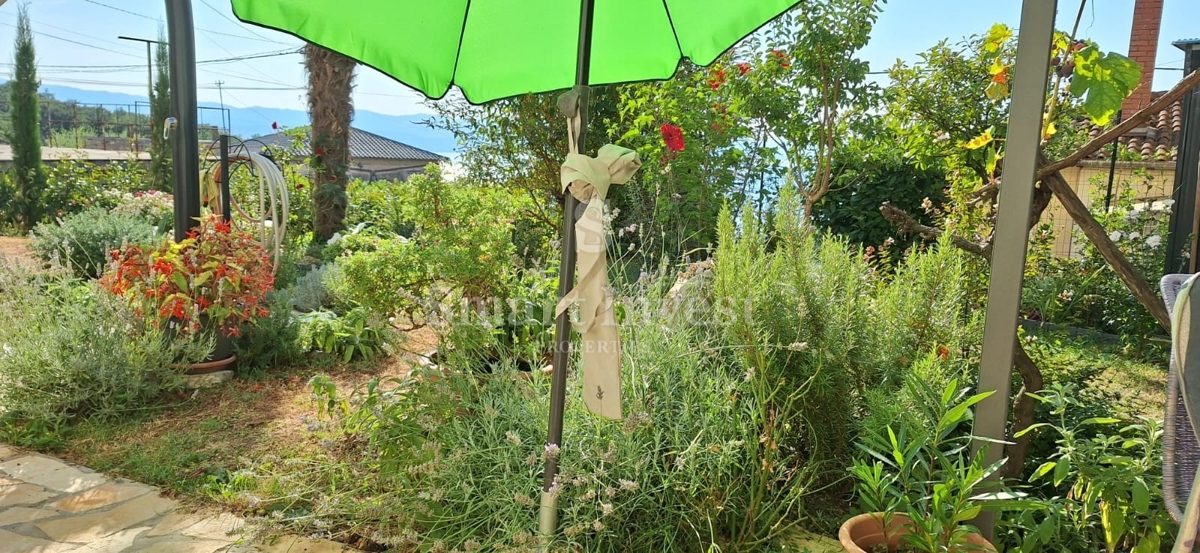 image 30
