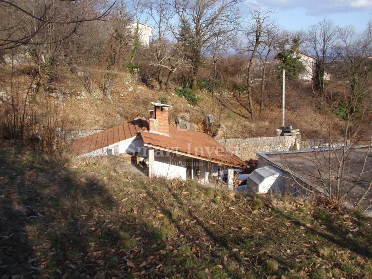 image 14