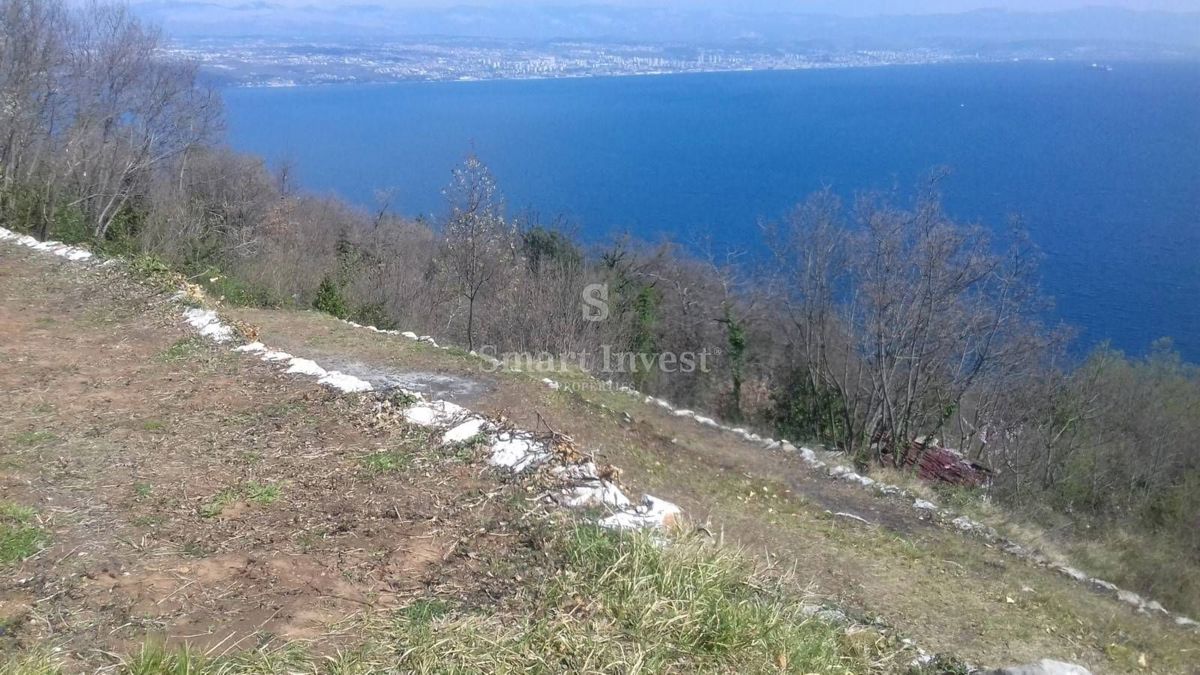 TULIŠEVICA