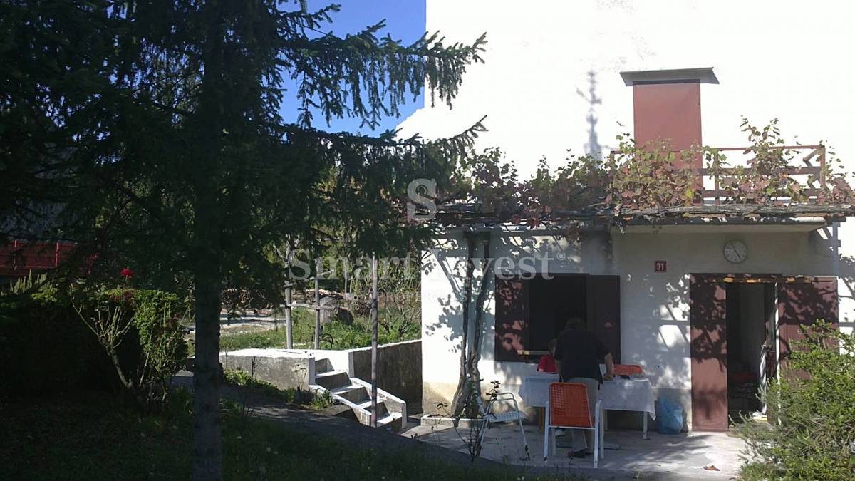 LESIŠĆINA