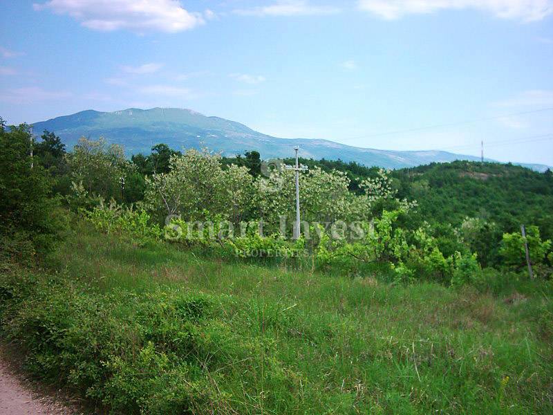 LESIŠĆINA