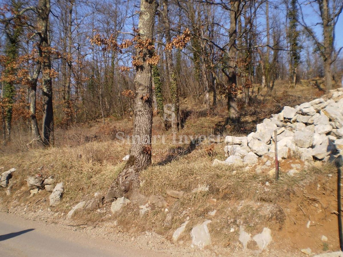 BREŠCA