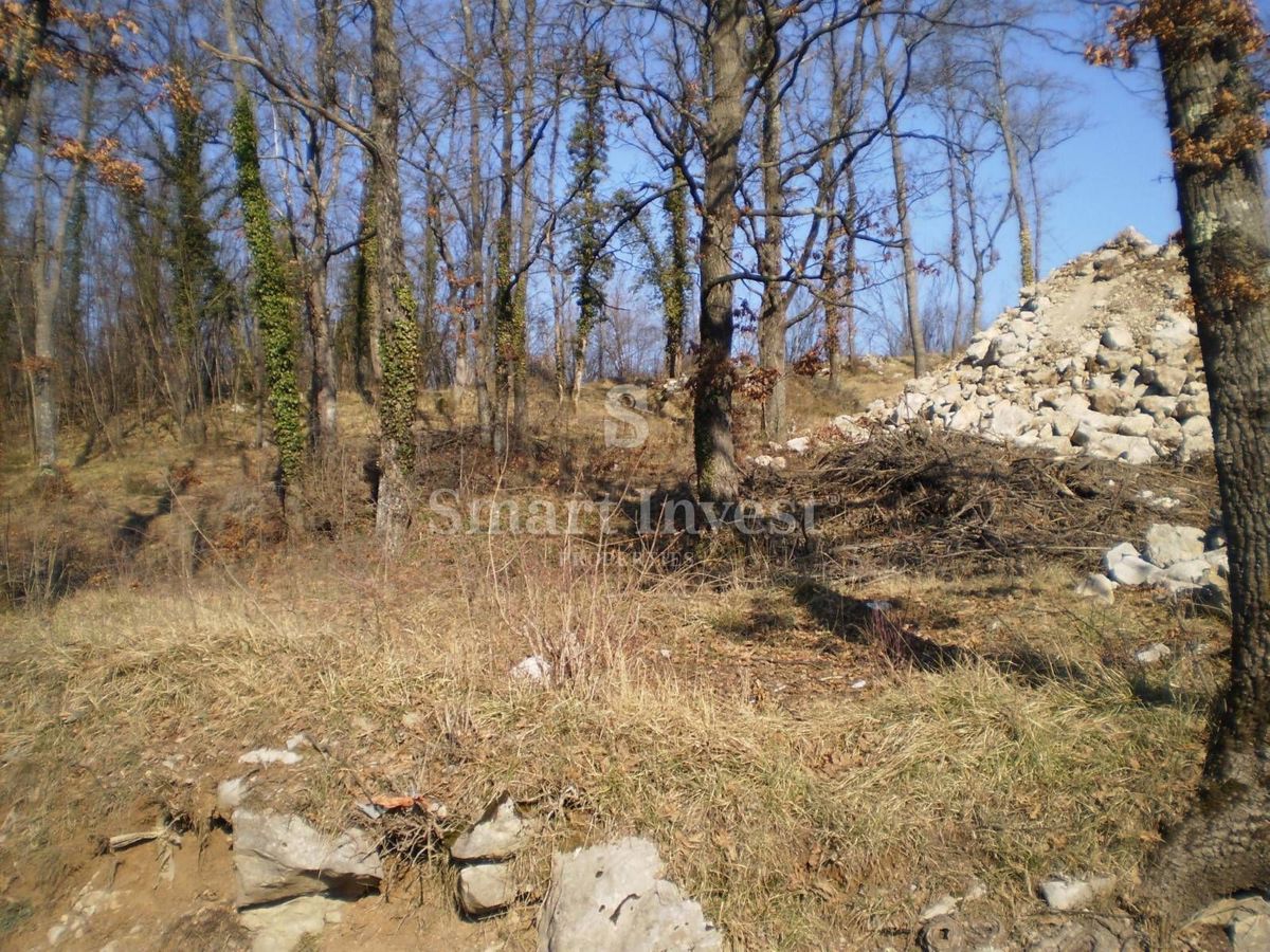 BREŠCA