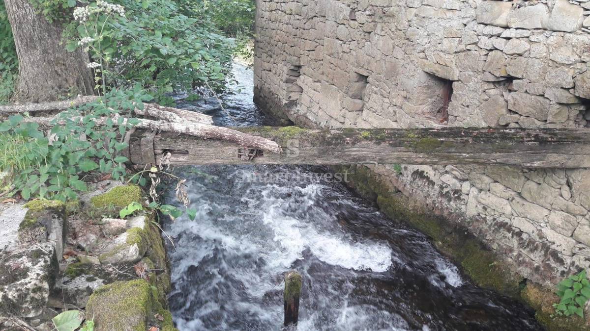 RASTOKE