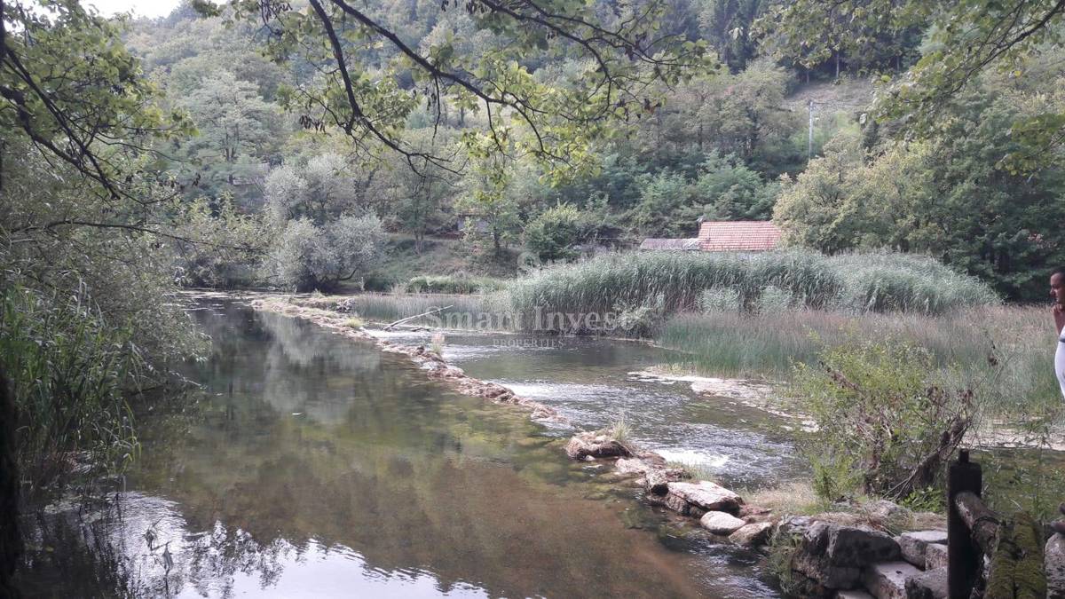 RASTOKE