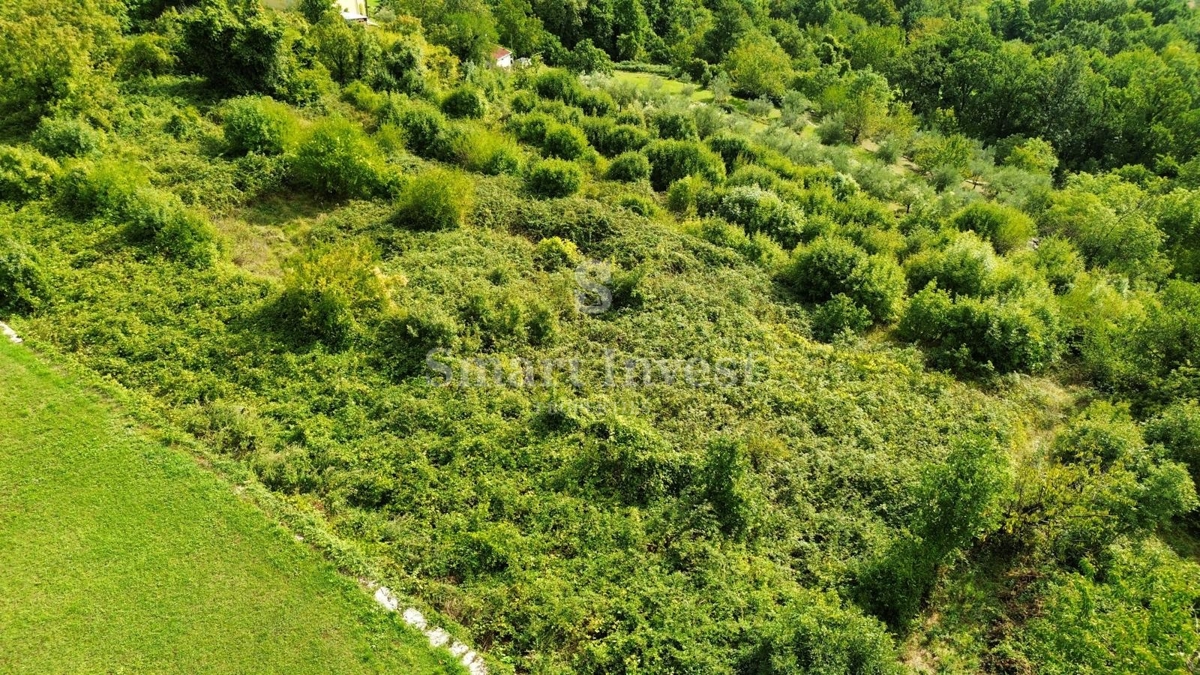 POLJANE