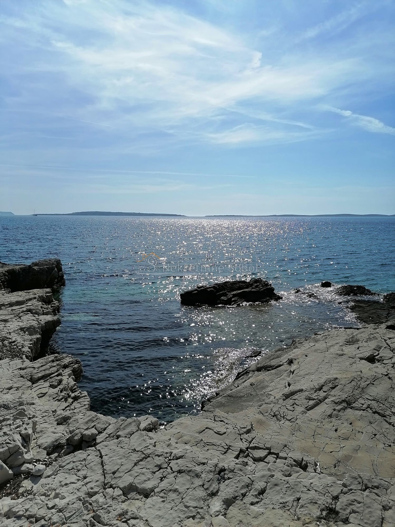 image 14