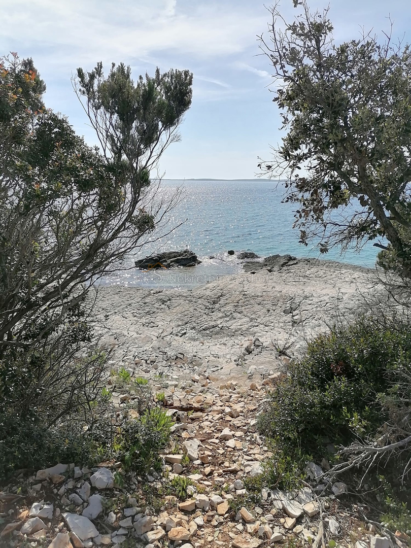 image 15