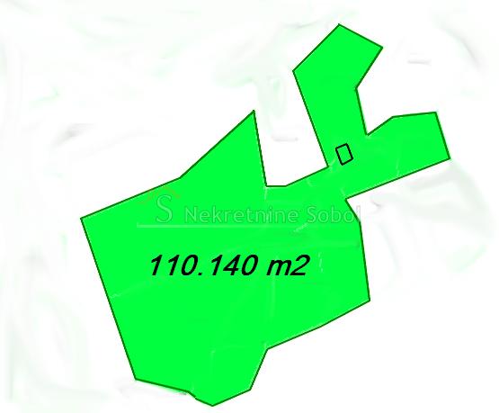 PUNTA KRIŽA