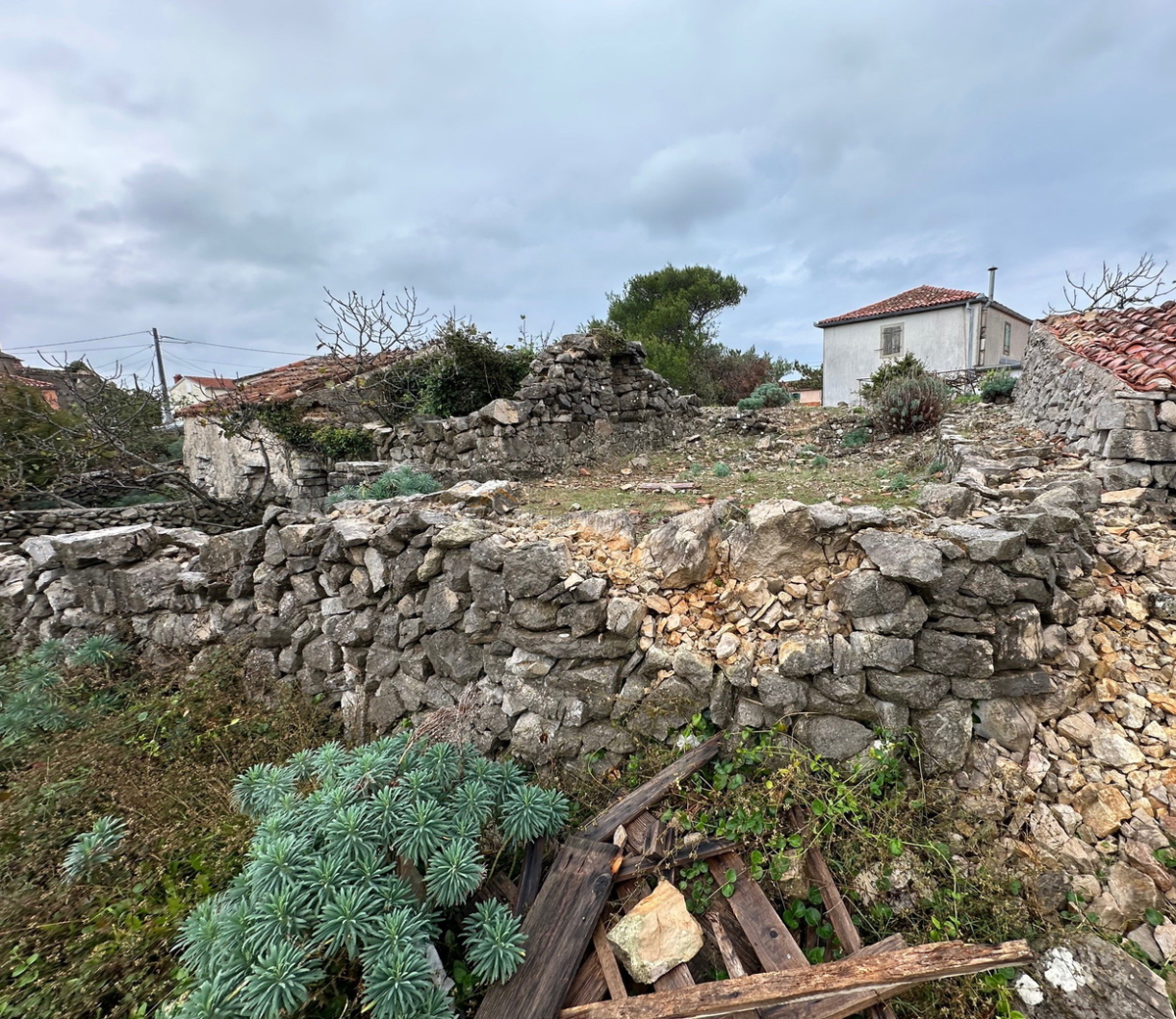 BELEJ