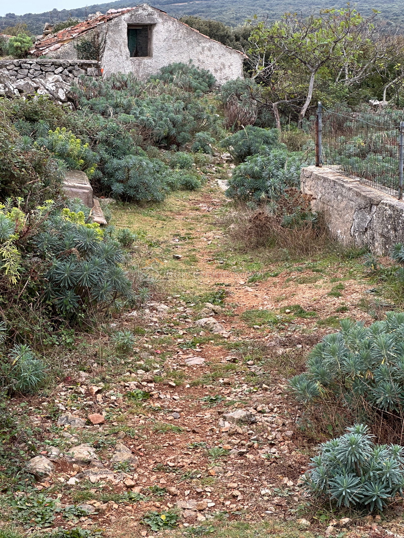 BELEJ